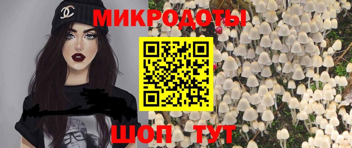 наркота  Вход с VPN  Красный Сулин  Галлюциногенные грибы Psilocybine cubensis 