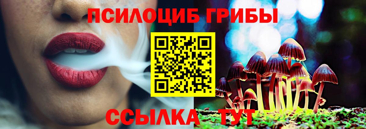 Галлюциногенные грибы Psilocybine cubensis Красный Сулин